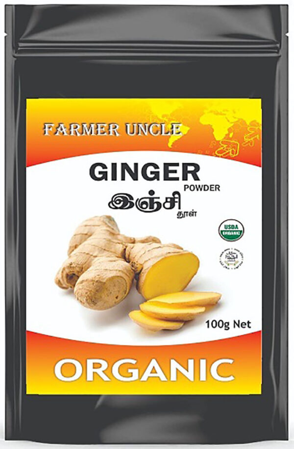 AtoZIndianProducts Ginger Powder - 100 g