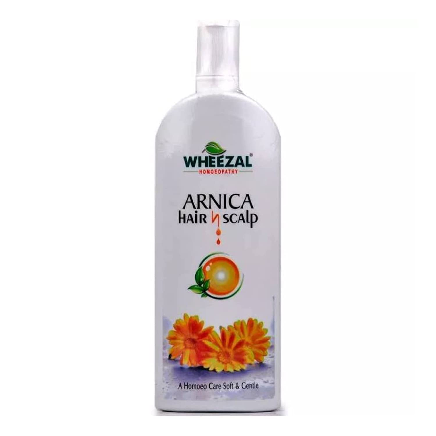 Wheezal Arnica Hair and Scalp Shampoo - 500 ml