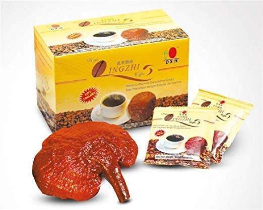 DXN Lingzhi Sugar Free 2 in 1 Instant Coffee - 100 g (Pack of 20)